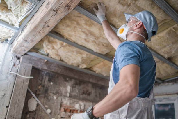Best Types of Insulation in Wells, MN